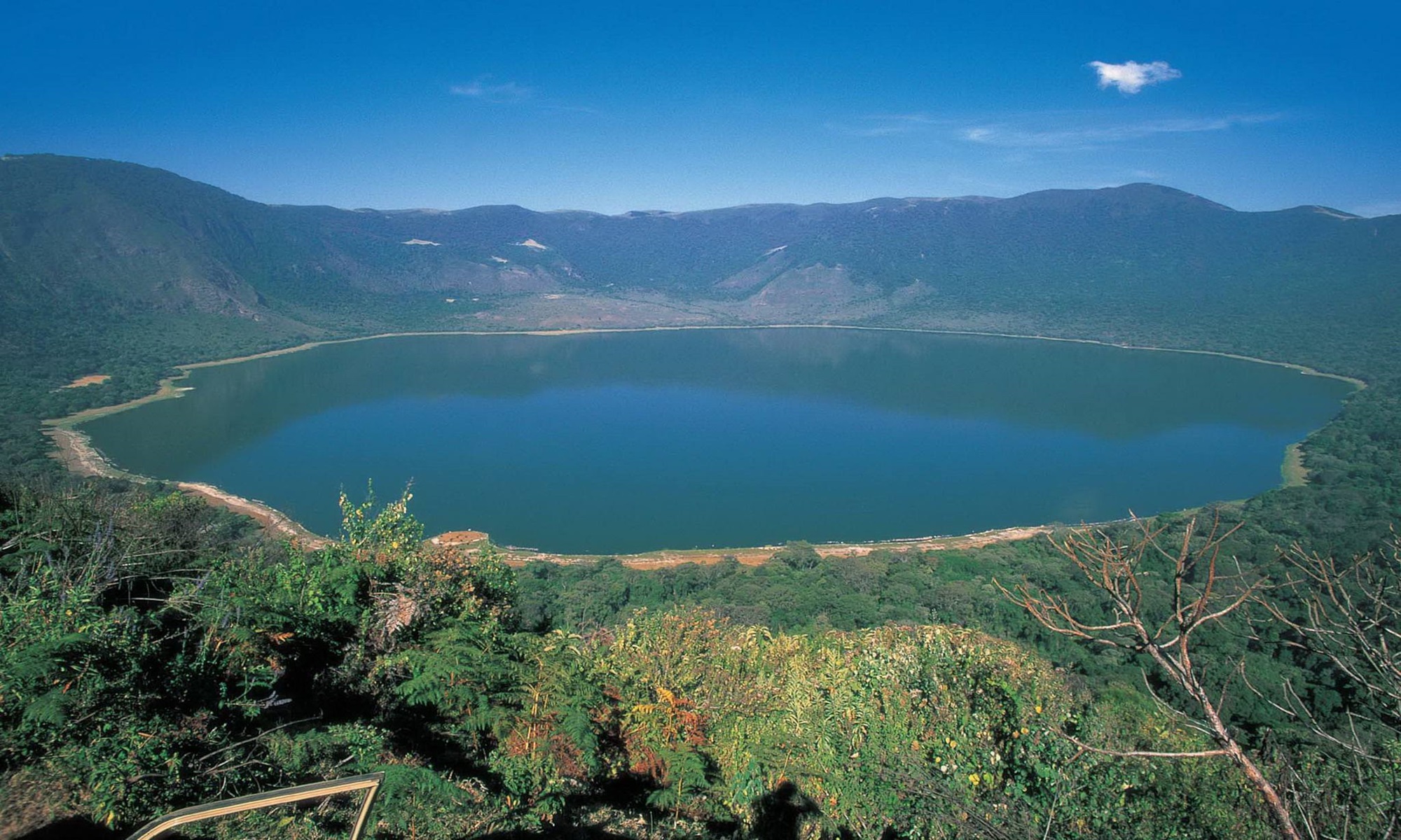 NGORONGORO