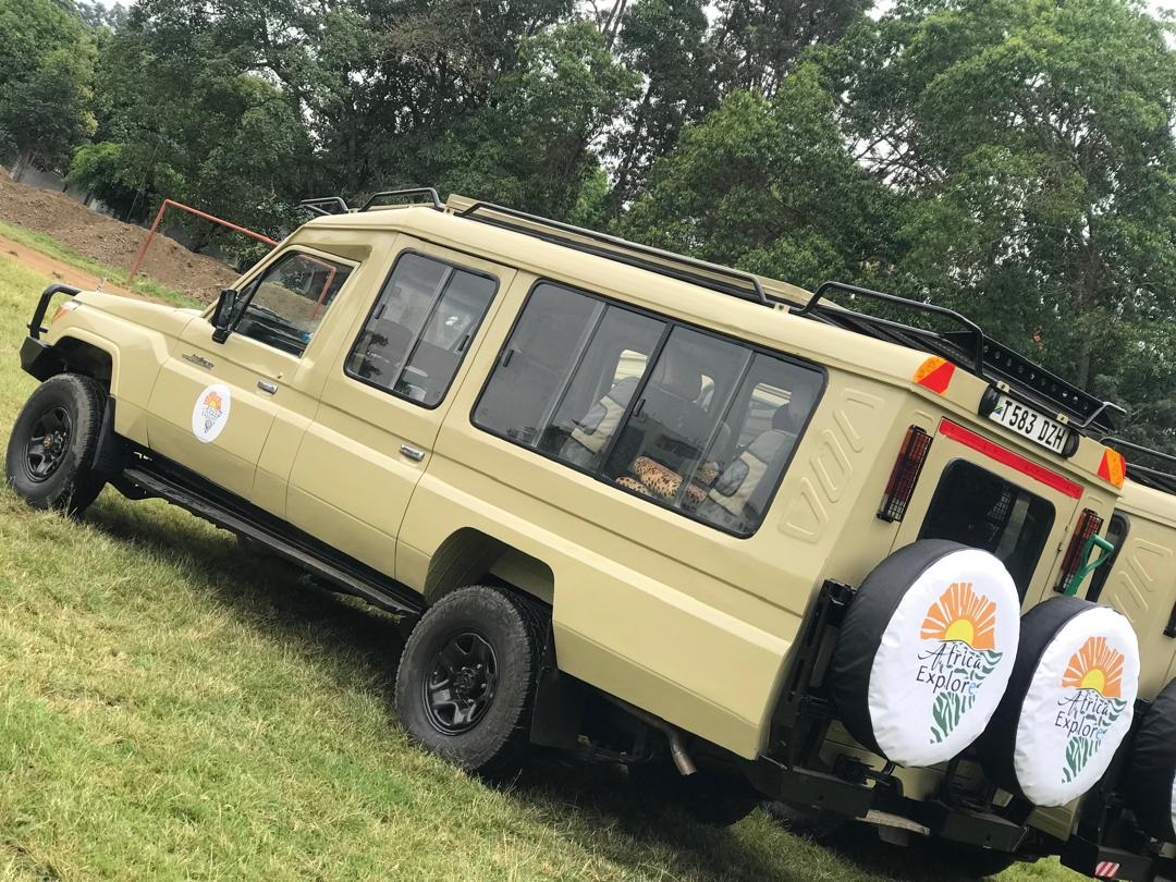 Do You Know Anything About a Safari?